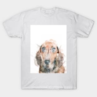 Watercolor Dachshund T-Shirt